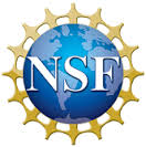 nsf_logo_transparent